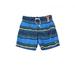 Speedo Men s Border Line Performance 20 E-Boardshorts in Blue Green-XL