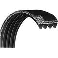 Motor Drive Belt 25 9CST0004 Works W True Fitness CS5.0 CS3.0 TCS500B CS550-2 Treadmill