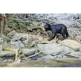 Safari Ltd Black Bear Cub Animal Figurine