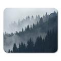 LADDKE Green Forest Trees in Morning Fog Pine Mountain Silhouette Enviroment Mousepad Mouse Pad Mouse Mat 9x10 inch