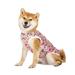 BT Bear Pet Clothes Dog Summer T-Shirt Cool Breathable Sunscreen Dog Vest Clothes Outfit Costume for Medium Large Dogs