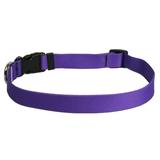 Yellow Dog Design Purple Simple Dog Collar 3/4 Wide and Fits Necks 10 to 14 Small