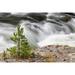 Small evergreen tree along Firehole River-Yellowstone National Park-Wyoming Poster Print - Adam Jones (36 x 24)