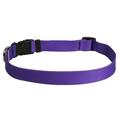 Yellow Dog Design Purple Simple Dog Collar 3/8 Wide and Fits Necks 8 to 12 Extra