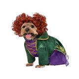 Hocus Pocus: Winifred Pet Costume