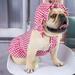 Summer Dog Plaid Dress Pet Princess Dress with Hat for Summer and Spring Cute Pet Dog Clothes Puppy Costumeï¼ŒXS-XL