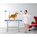 36 Folding Dog Pet Grooming Table Heavy Duty Stainless Steel pet dog Cat Grooming Table