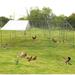 Magic Union Large Metal Chicken Coop Backyard Hen House Cage Run Outdoor Cage 20x10 ft