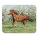 Brown Run Chestnut Quarter Horse Running in Front of Flowering Trees Spring Blossom Mousepad Mouse Pad Mouse Mat 9x10 inch