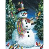 Feathered Friends 350 Piece Jigsaw Puzzle