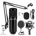 Condenser Microphone Kit Professional Audio Studio Mic Kit with Recording Arm Shock Mount Pop Filter for Recording Podcasting Voice Over Streaming Home Studio YouTube