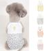 Cute Pet Clothes Cat and Dog Clothes Teddy Bichon Pet Dress Cat Skirt Girl Dog Clothes Puppy Dress Girl Puppy Clothing