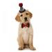 Pet Cat Dog Birthday Hat Puppy Cat Cute Party Hat Bowknot Dog Decoration Hat Costume for Dog with Adjustment Rope