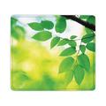 Recycled Mouse Pad 9 x 8 Leaves Design | Bundle of 10 Each