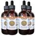 Rosehips (Rosa Canina) Tincture Organic Dried Seeds Liquid Extract Dog Rose Herbal Supplement 4x4 oz