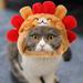 Travelwant Dog Costume Lion Mane Costume for Cats Dogs - Cat Costume Halloween Hat for Pets