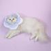 Pet Recovery Collar Adjustable Neck Collar Cotton Pet Cone E-Collar With Cute Flower Pattern For Cat And Dog Pet Collar Waterproof Headcover