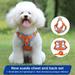 XWQ 2Pcs/Set Pet Chest Strap Set Reflective Anti-escape Breathable Pet Harness Traction Leash Set Pet Accessories