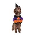 WAY TO CELEBRATE! Halloween Witch Pet Costume Size Medium