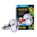 Exo Terra Sun-Glo Halogen Lamp 75w