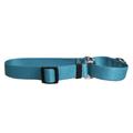 Yellow Dog Design Teal Simple Solid Martingale Dog Collar 1 Wide and Fits Neck 18 to 26 Large