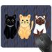 Visland Cute Mouse Pad Colorful Cat Natural Rubber Non-Slip Rectangle Mouse Pads Home Office Computer Gaming Mousepad Mat 9.45 x