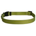 Yellow Dog Design Olive Simple Cat Collar 3/8 Wide and Fits Necks 8 to 12 Cat