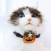 Travelwant Halloween Dog Collar with Bowtie Holiday Jack-O-Lantern and Pumpkin Collar for Small Medium Large Dogs Pets Puppies