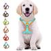 HANI Dog Harness Pet Harness with 1 Dog Leash Adjustable Soft Padded Dog Vest Reflective No-Choke Pet Suede Vest with Easy Control Safety buckle Fit for Dogs Baby Blue XL