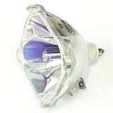 Proxima LS1 Multimedia Video Projector Quality Original Projector Bulb