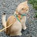 Cat Harness and Leash Set Escape Proof Kitten Harness Adjustable Cat Vest Harness Universal Cat Leash and Harness for Cats/Puppies Outdoor Walking
