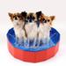 AoHao Dog Swimming Pool Pet Bath Pet Bathtub Pet Swimming Pool Pvc Material Folding Convenient Storage Small Dogs Medium Dogs Large Dogs Cat Bathroom Suppliesï¼ˆredï¼‰