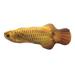 Realistic Plush Simulation Doll Fish Funny Interactive Pets Chew Bite Supplies for Cat/Kitty/ Fish Flop Cat Toy Catnip Toys