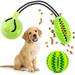 Suction Cup Dog Toy Chews - Bite Toys Durable Rubber Self Playing Multifunctional Rope Food Dispensing with Suction Cup and Play IQ Toy Treat Ball for Dogs Pet for Chewing Playing Teeth Cleaning