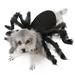 Suzicca Dogs Cats Spider Costume Pet Party Outfits for Small Dogs Cats