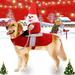 Monfince Novelty Pet Christmas Riding Dress Large Doll + Red Clothes Warm Apparel Party Dressing up Funny Clothing for Small Large Dog Outfit