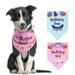 Pet Dog Cat Birthday Party Costume Set Pet Birthday Hats for Dogs Party Hats Pet Scarf Pet Letter Printed Party Costume Dog Girl Boy Birthday Scarf and Birthday Hat