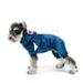 Innopet Shark Pet Costume - For Dogs and Cats - Perfect for Halloween Christmas Cosplay and Fancy Dress Parties