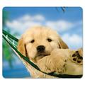 Recycled Mouse Pad Nonskid Base 9 X 8 X 1/16 Puppy In Hammock | Bundle of 5 Each