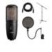 P420 Large Diaphragm Dual-Capsule True Condenser Microphone with Switchable Polar Patterns - Bundle With Ultimate JS-MCTB200 Tripod Microphone Stand Nady SPF-1 Mic Pop Fi lter XLR M to F P