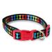 Vibrant Life Dog Collars Bone Print Fashion Pet Collar Multi-Color Size Medium