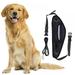 Hands Free Dog Leash for Running Walking Outdoor Training Belt Dog Accessories Include Waterproof Waist Pack and Nylon Retractable Dog Belt