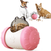 Cat & Dog Toy Feeder Dog Slow Feeder Feeders for Cat Dog Food Toy IQ Improving Toys Cat Food Toys Pet Puzzle Brain Stimulating Toys Interactive Pet Toys