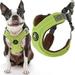 Gooby Escape Free Memory Foam Harness - Green Large - Escape Free Step-In Harness with Memory Foam for Small Dogs and Medium Dogs Indoor and Outdoor use