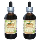 Jamaican Dogwood (Piscidia Piscipula) Tincture Dried Bark Liquid Extract (Herbal Terra USA) 2x2 oz