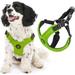 Gooby Escape Free Sport Harness - Lime Small - Escape Free Step-in Harness with Neoprene Body for Small Dogs and Medium Dogs for Indoor and Outdoor use