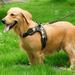 Star Home Large Dog Harness Soft Adjustable Training Harness Pet Walk Out Hand Strap Vest