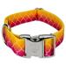 Country Brook PetzÂ® 1 1/2 inch Premium Fabulous Ombre Dog Collar Large