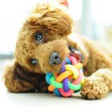 Jolly Pet Puppy Dog Cat Colorful Dog Funny Exercise Ball with Bell Colorful Non-toxic Woven Ball Chew Toys Pet Supplies Interactive Dog/Cat Ball