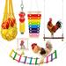 Welpettie 6Pcs Chicken Toys Set Chewing Foraging Toys Parrot Playing Training Toys with Wooden Swing Fruit Vegetable Hanging Feeder Xylophone Mirror Bell Ladder Toy for Chicken Parrots Birds